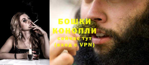 крисы Верея