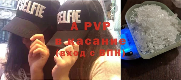 крисы Верея
