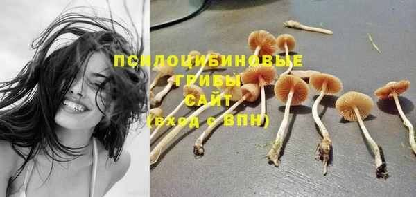крисы Верея