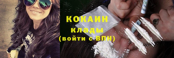 крисы Верея