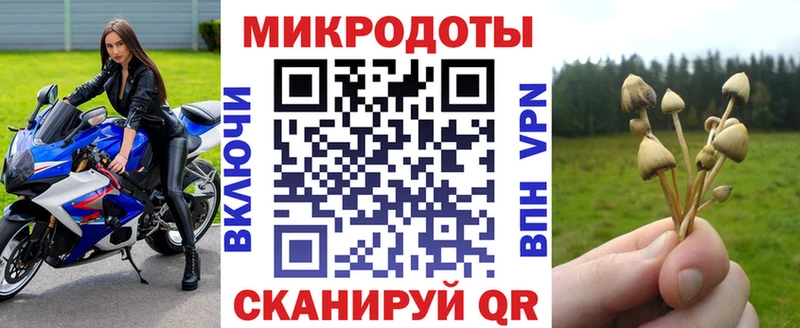 Псилоцибиновые грибы Psilocybine cubensis  Пенза 